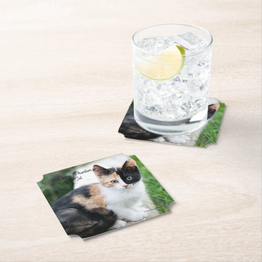 Dessous-de-verre En Papier Opera Phantom Chat (En situation)