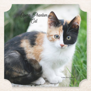 Dessous-de-verre En Papier Opera Phantom Chat