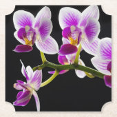 Dessous-de-verre En Papier Orchidée blanche et violette (Devant)