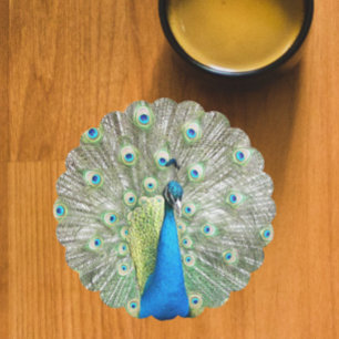 Dessous-de-verre En Papier Panache de plumes de paon bleu