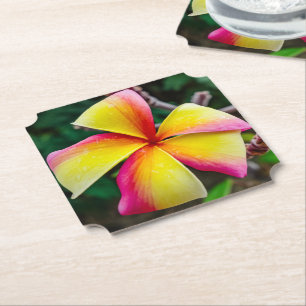 Dessous-de-verre En Papier Plumeria rubra