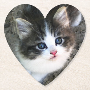 Dessous-de-verre En Papier Portrait CUTE Kitten