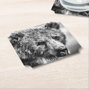 Dessous-de-verre En Papier Portrait d'ours grizzli