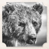 Dessous-de-verre En Papier Portrait d'ours grizzli (Devant)