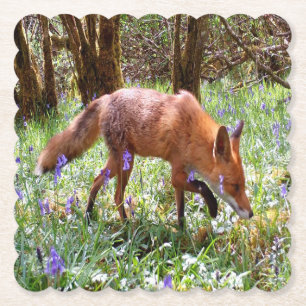 Dessous-de-verre En Papier Renard roux dans les Jacinthes des bois