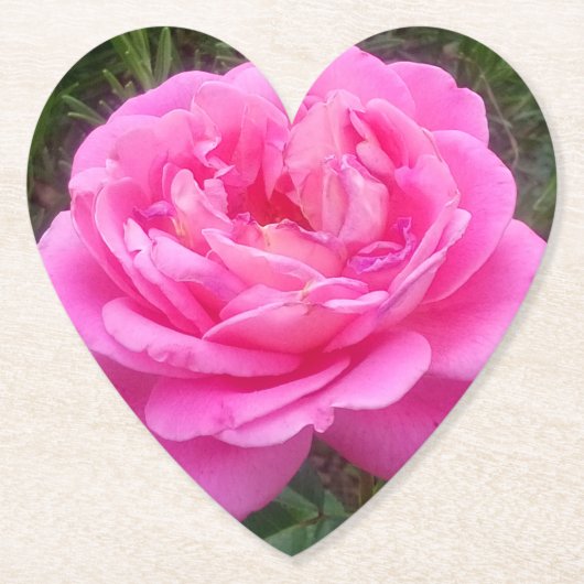 Dessous-de-verre En Papier Rose romantique 'Léonard de Vinci' (Devant)