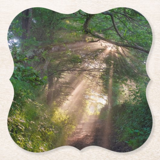 Dessous-de-verre En Papier sentier forestier (Devant)
