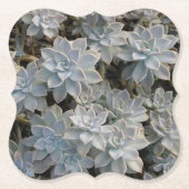 Dessous-de-verre En Papier Silvery Blue Succulents (Devant)