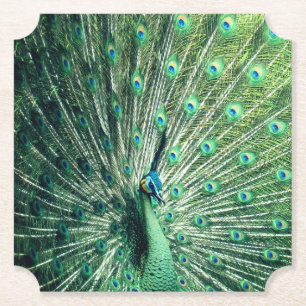 Dessous-de-verre En Papier Strut Peacock