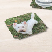 Dessous-de-verre En Papier Terrier des Hautes-Terres-Ouest (Incliné)