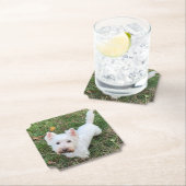 Dessous-de-verre En Papier Terrier des Hautes-Terres-Ouest (En situation)