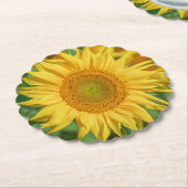 Dessous-de-verre En Papier Tournesol (Incliné)