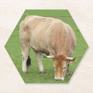 Dessous-de-verre En Papier Vache nantaise dans un champ