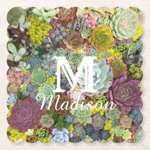 Dessous-de-verre En Papier Verdure colorée Succulents