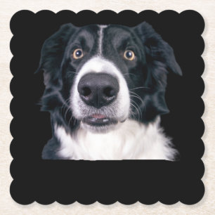 Dessous-de-verre En Papier Visage de chien noir et blanc