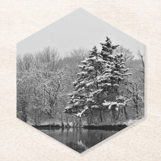 Dessous-de-verre En Papier Winter Wonderland (Devant)