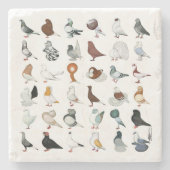 Dessous-de-verre En Pierre 36 races de pigeons (Devant)