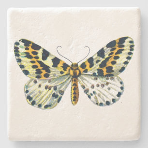 Dessous-de-verre En Pierre Abraxas grand ulariata, The Magpie Moth Color Imag