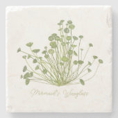 Dessous-de-verre En Pierre Acetabularia Dessous de verre de pierre d'algues (Devant)