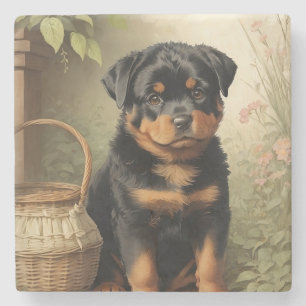 Dessous-de-verre En Pierre Adorable Rottweiler