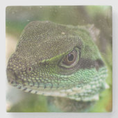 Dessous-de-verre En Pierre Agama, lézard (Devant)