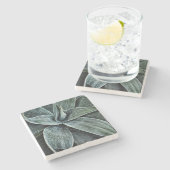 Dessous-de-verre En Pierre Agave Attenuata (Côté)