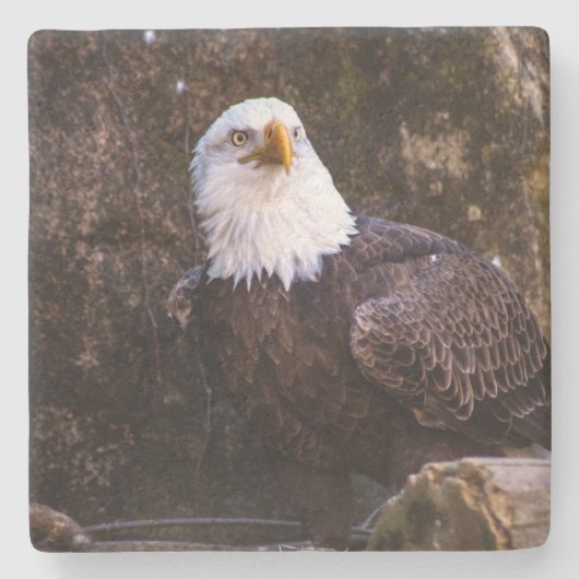 Dessous-de-verre En Pierre Aigle de Bald (Devant)