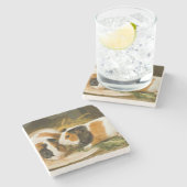 Dessous-de-verre En Pierre Alimentation de cochons de Guinée animale (par Jam (Côté)