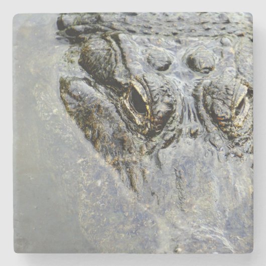 Dessous-de-verre En Pierre Alligator 2 (Devant)