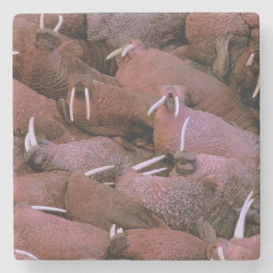 Dessous-de-verre En Pierre Amérique du Nord, États-Unis, Alaska, Yukon Delta 