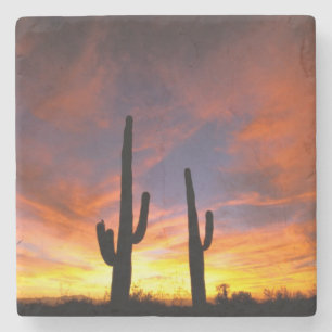 Dessous-de-verre En Pierre Amérique du Nord, États-Unis, Arizona, désert de S