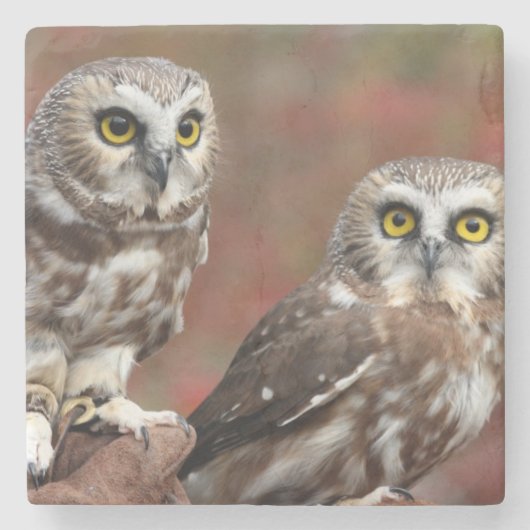 Dessous-de-verre En Pierre Amis (Devant)