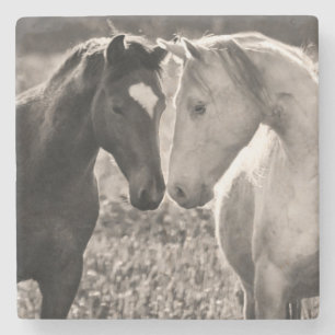 Dessous-de-verre En Pierre Amour de cheval
