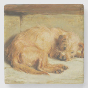 Dessous-de-verre En Pierre Anglais Cocker Spaniel Dog (par Briton Rivière)