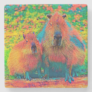 Dessous-de-verre En Pierre AnimalColor_Capybara_002