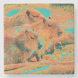 Dessous-de-verre En Pierre AnimalMix_Capybara_006