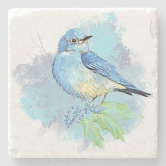 Dessous-de-verre En Pierre Aquarelle Bluebird Garden Oiseau Art (Devant)