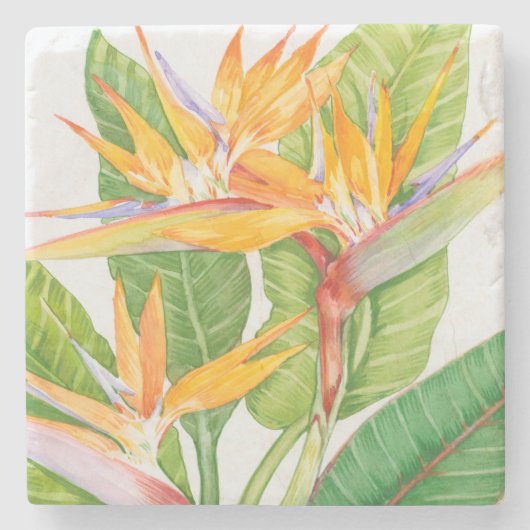 Dessous-de-verre En Pierre Aquarelle de fleurs exotiques (Devant)