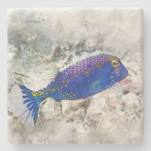 Dessous-de-verre En Pierre Aquarelle de poisson tropical hawaïen - Poisson-t