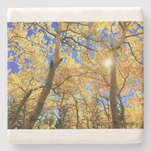 Dessous-de-verre En Pierre Arbre Automne Nature Paysages Destinée Ciel Destin