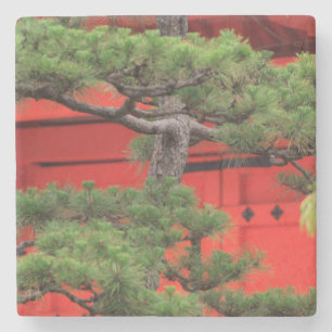 Dessous-de-verre En Pierre Arbre de Bonsai