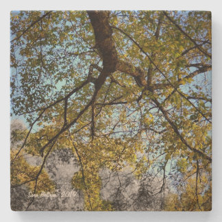 Dessous-de-verre En Pierre Arbre jaune en automne