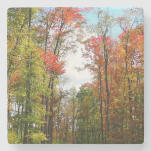 Dessous-de-verre En Pierre Arbres d'automne et ciel bleu Photographie de la n