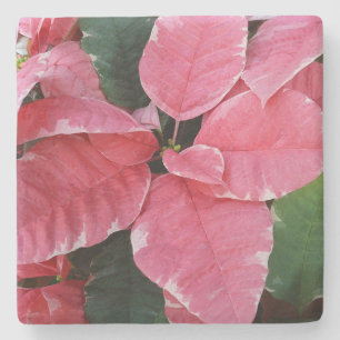 Dessous-de-verre En Pierre Argent Star Marbre Poinsettias Pink Holiday Floral