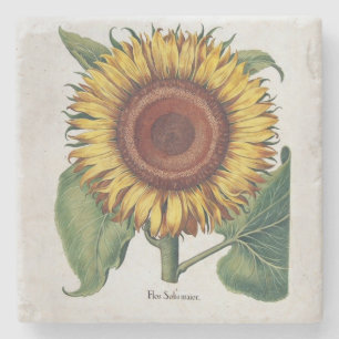 Dessous-de-verre En Pierre Art de fleur de damas vintage tournesol