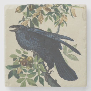 Dessous-de-verre En Pierre Art de la nature de l'oiseau corbeau Audubon vinta