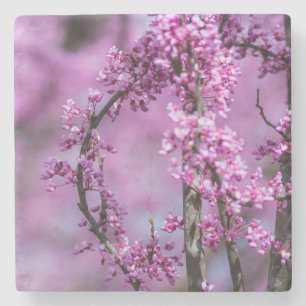 Dessous-de-verre En Pierre Art de l'Avondale Redbud