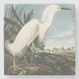 Dessous-de-verre En Pierre Art vintage d'Audubon sur l'aigrette neigeuse et b