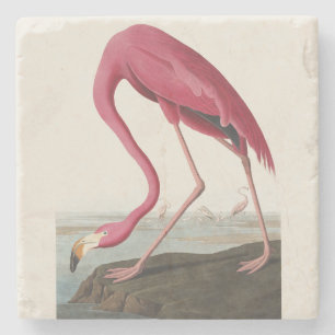 Dessous-de-verre En Pierre Art vintage d'Audubon sur le flamant rose américai