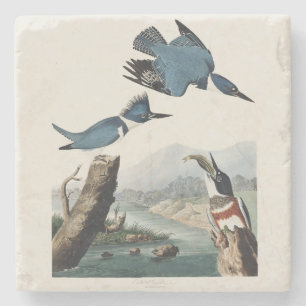 Dessous-de-verre En Pierre Art vintage de l'Alcedo ceinturé d'Audubon